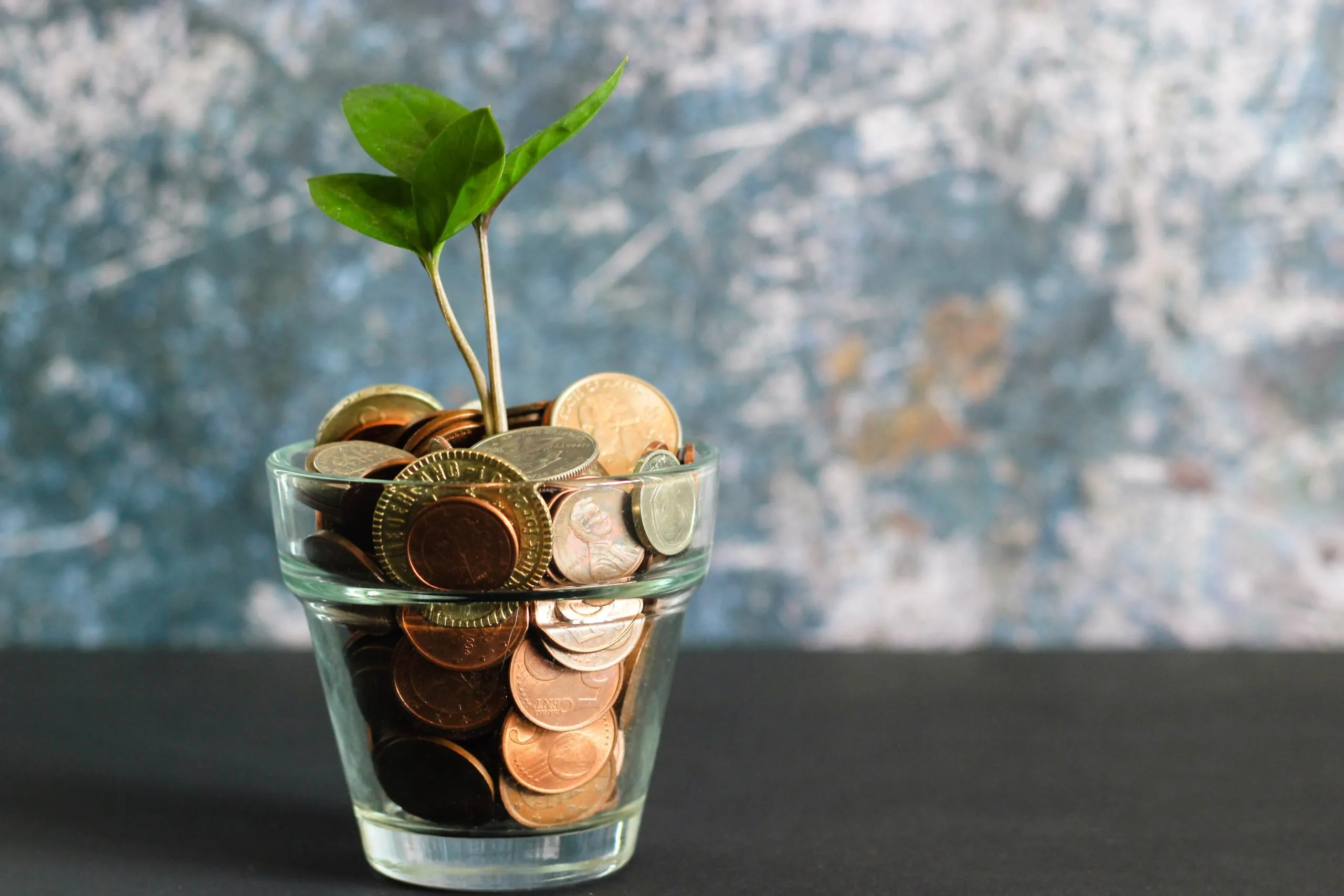 Save-Money-adsa23
