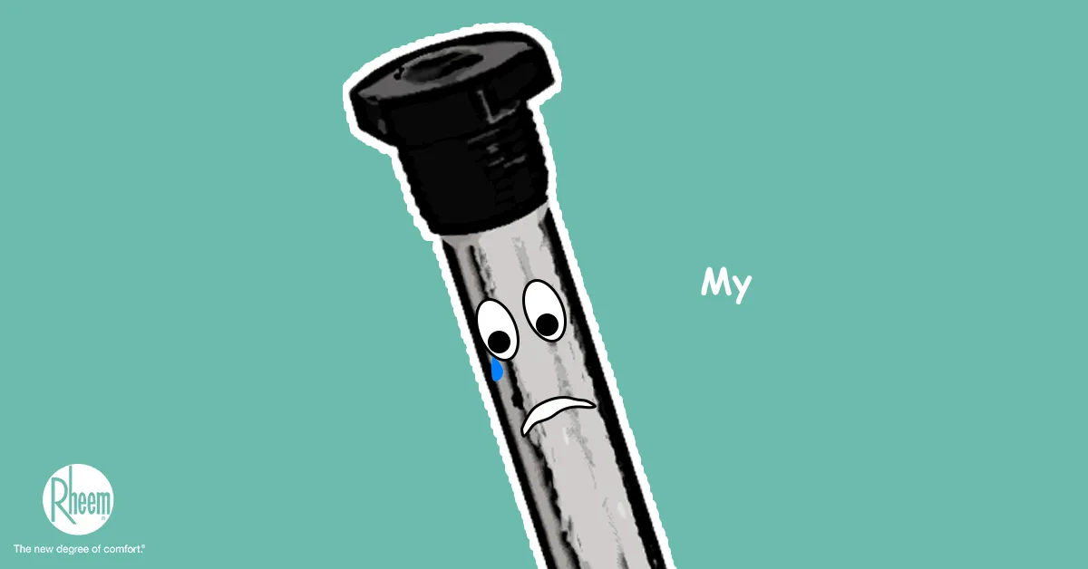 anode-rod
