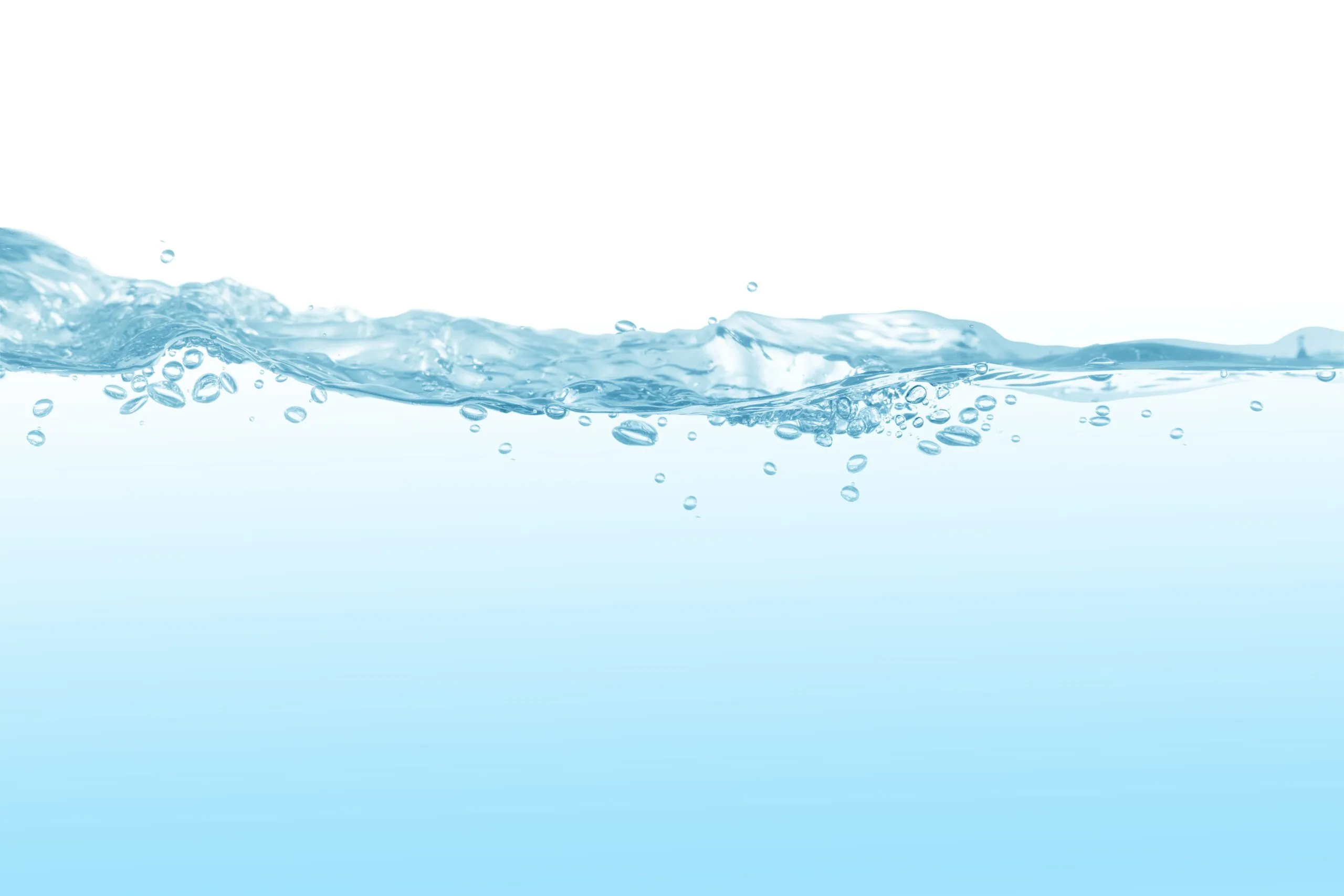 shutterstock_559622767