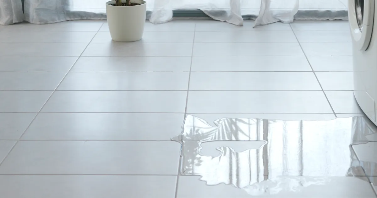 water-leaking-23wfsfv25